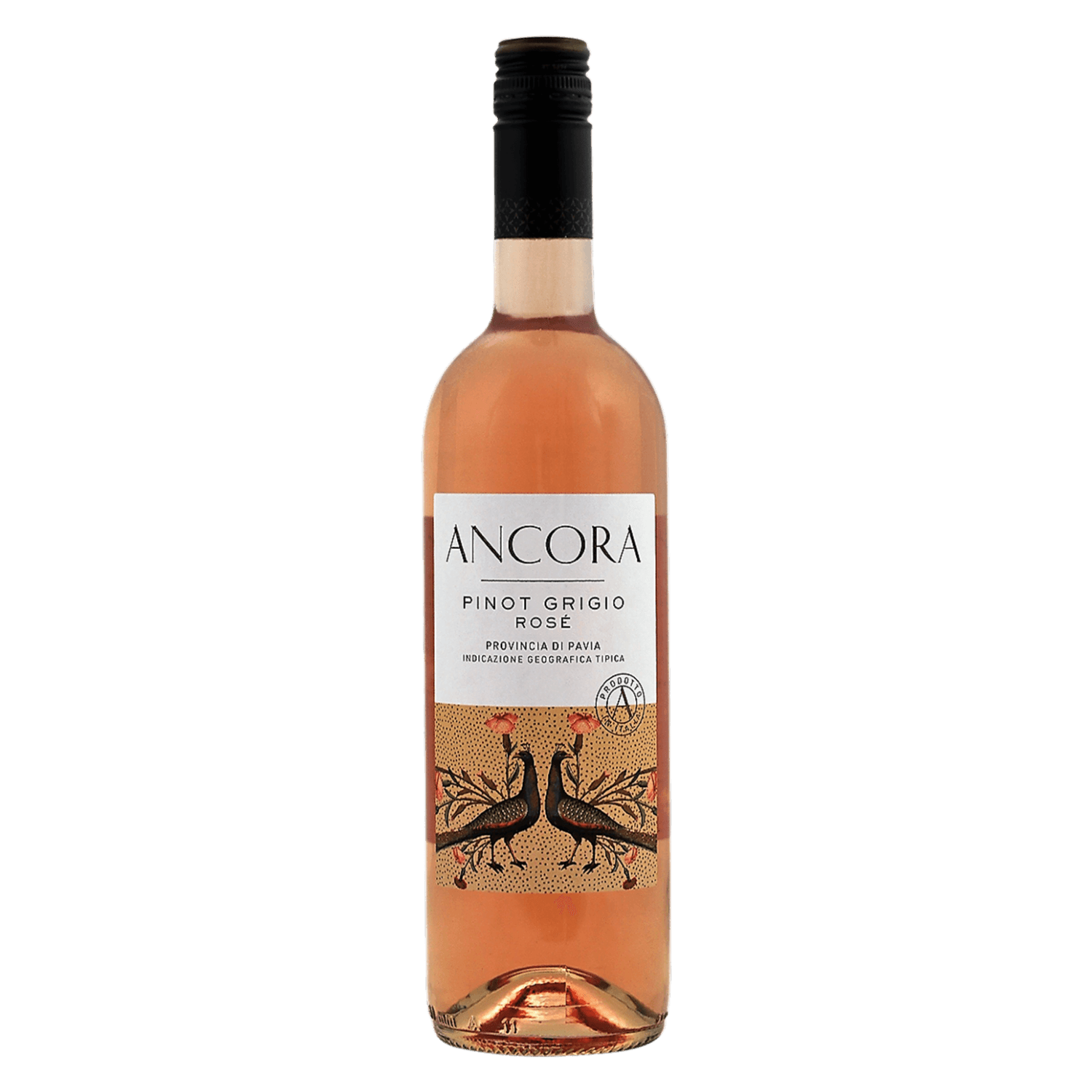 Ancora Pinot Grigio Rosé
