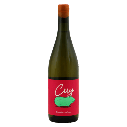 Santa Julia Cuy Torrontés Natural