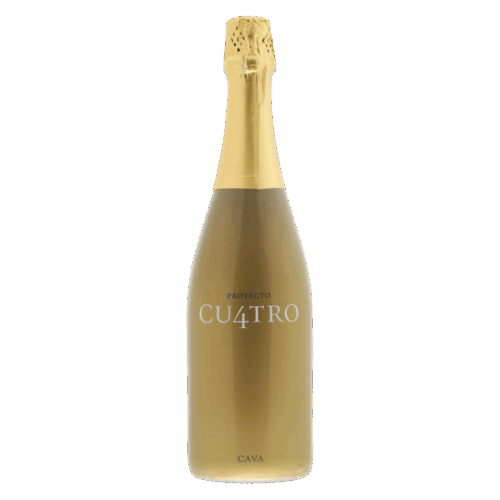 Clos Montblanc Reserva Brut Nature Premium Cava