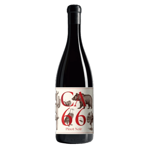 Hannes Sabathi CA 66 Pinot Noir