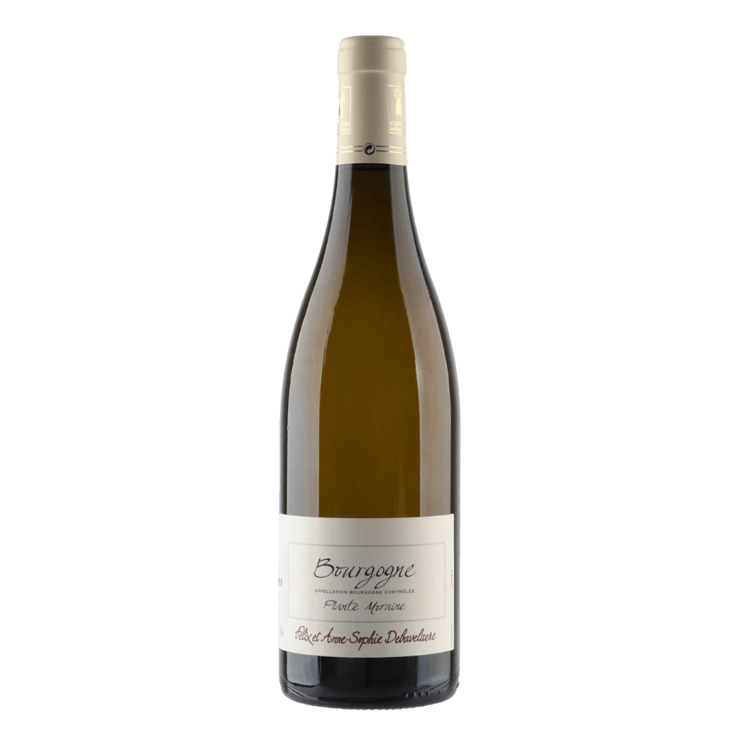 Domaine Rois Mages - Anne-Sophie Debavelaere Plante Moraine Bourgogne